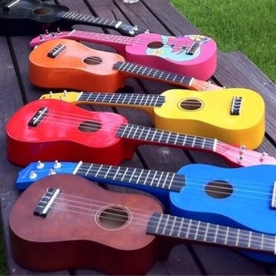 Ukulele playing cat lover.