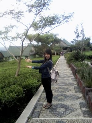 Twitter terbaru, follow ya ☺