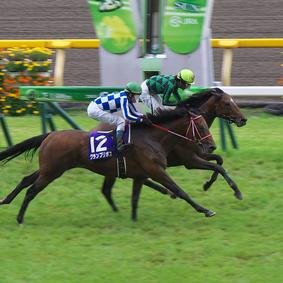 中央競馬のメインと最終Rが主戦場。地方はGレースが主。いろいろな業種のマイスターとXで繋がったら楽しそうだなと思っております。FXは色々と勉強中。いずれはEAも操りたい。RT多め。
