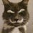 creative_seo_33's profile image