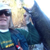 GregGoss (@troutdr) Twitter profile photo