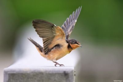 student_AOUkw's profile picture. 