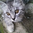 purwanti setianurhid (@007Ipung) Twitter