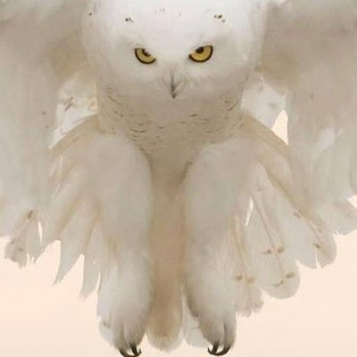 TraceySherwood1's profile picture. Loving life and dreaming dreams :)