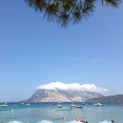 SFarfalle's profile picture. Una delle spiagge più belle della Sardegna si è fatta il profilo twitter per mostrare i suoi segreti e le sue meraviglie.