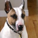 lee chatham - @lee_chatham - Twitter