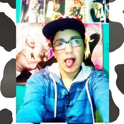 Mi Idola Es Lady Gaga
