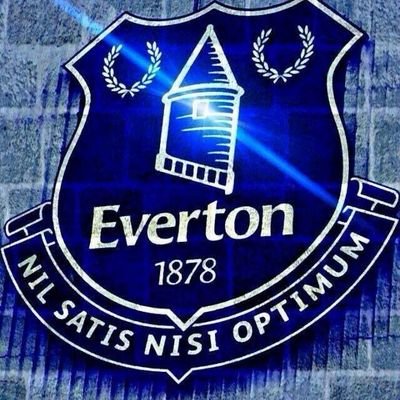 MASSIVE EVERTON FAN!!!! Season Ticket Holder Lower Gwladys GT5