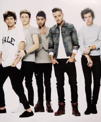 Directoners R The most dedicated Fandom