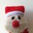 cutesantaontour's profile image