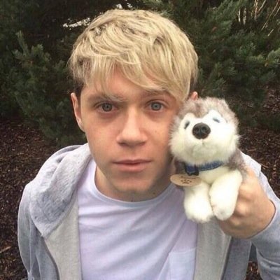 Luke Hemmings and Niall Horan are PERFECT!