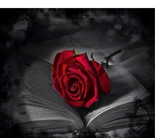 mamar598's profile picture. 