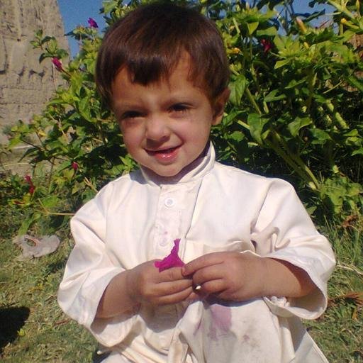 SarfrazMaiwand's profile picture. 