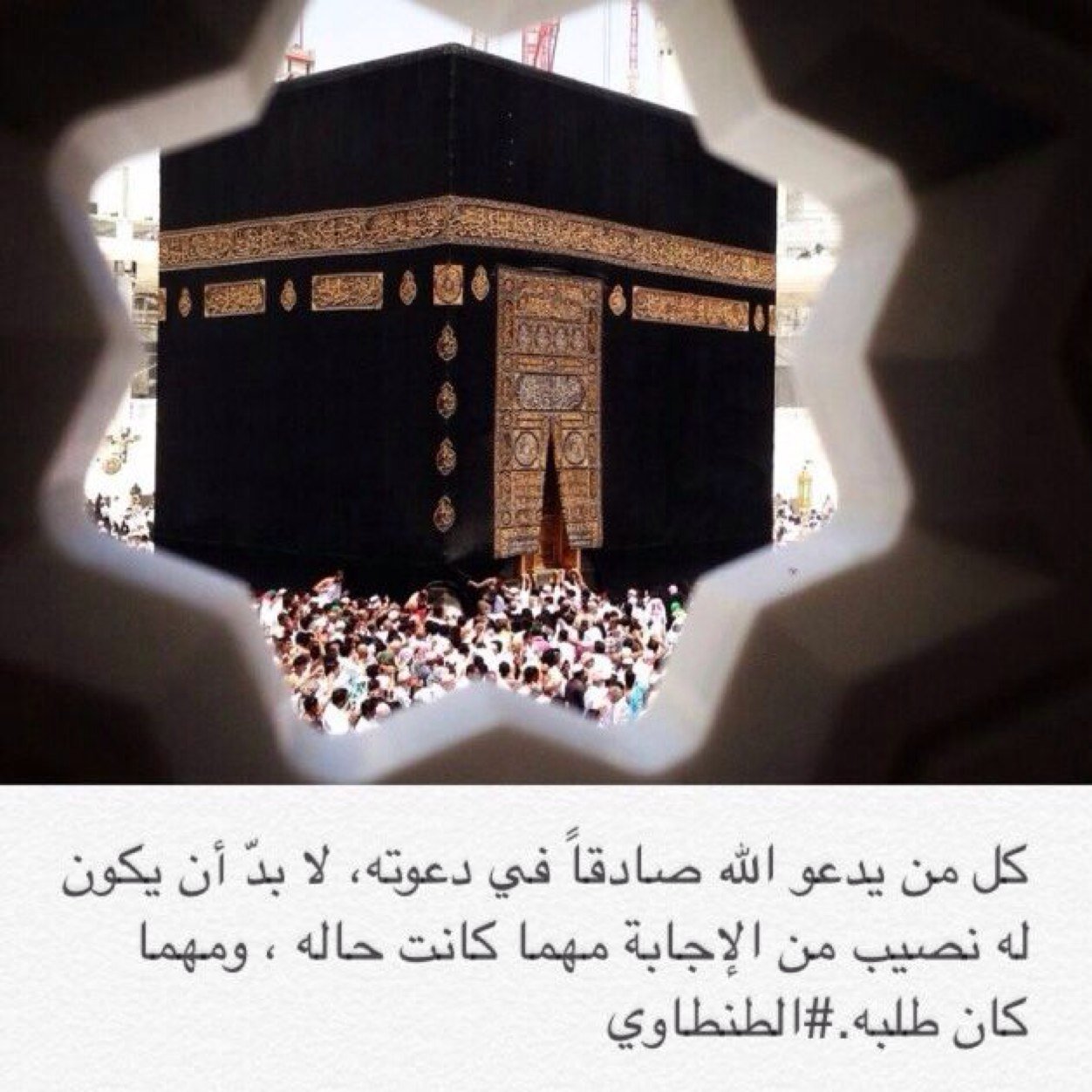 Lulu_OmNaif's profile picture. 