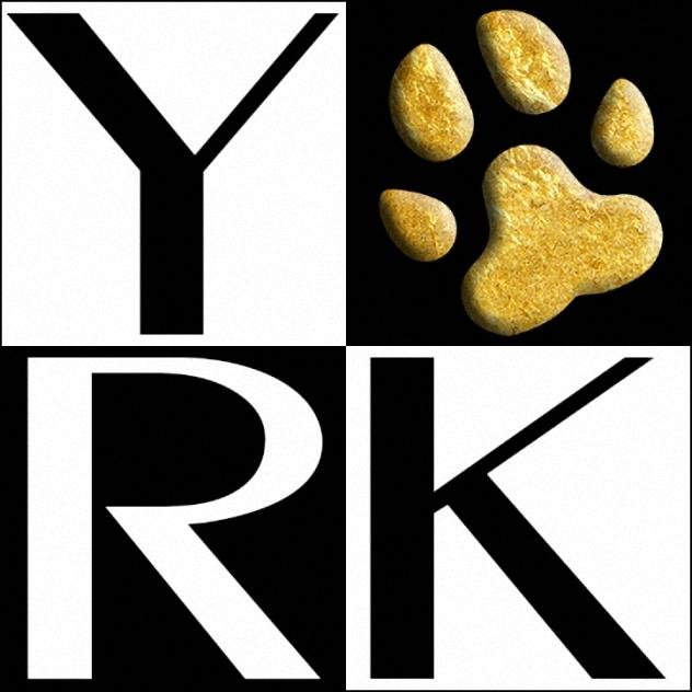 Minőségi rutyaruha, kutyafekhely és egyéb felszerelés - Yorkshire Terriereknek