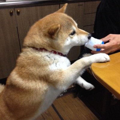 英語勉強してます。色んな人と交流してみたいです。気軽にフォローしてください☆ Thank you for coming.I'm Japnese and studying English. I want to be friend with foreign people. Please follow me !