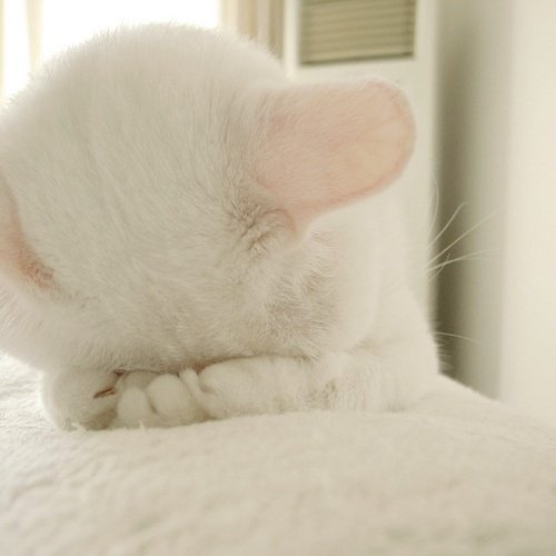 I love you ! everybody's we are all friends !
Enjoy every story in your life ! Freedom, Struggle, Brightness, Wonderful !