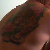 andrew (@andrew74022359) 's Twitter Profile