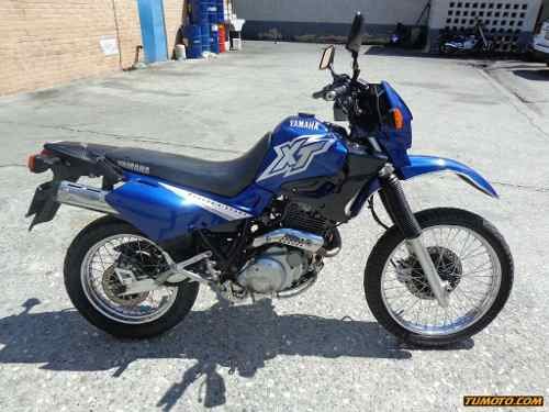 ferniol's profile picture. 