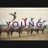 Youngbanddbn's profile image