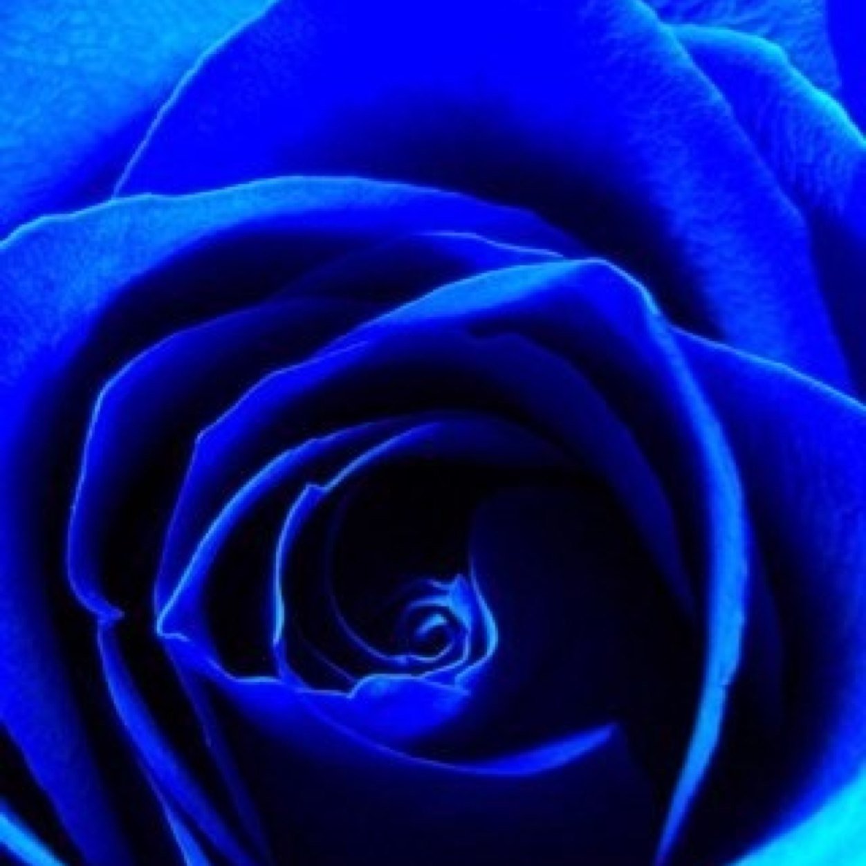 Klozamenai's profile picture. 