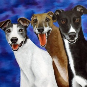 ***Greyhounds Australia Rescue*** An independent initiative to raise awareness, fundraise for care and assist in rehoming these beautiful dogs as pets.
