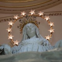 M Paloma Campos Veig (@mpalomacv1) 's Twitter Profile