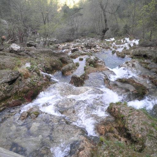 gaby_ArNov's profile picture. 