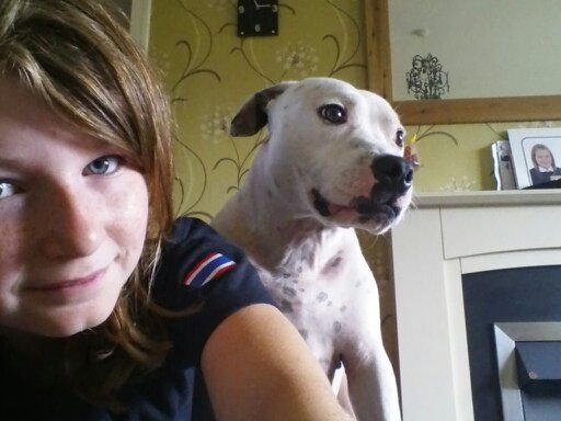 Say no to all the Bull Terrier breeds being used as fighting bate or actual fighting!!!!