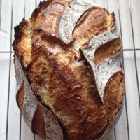 StewartTravers (@stewarttravers) 's Twitter Profile Photo