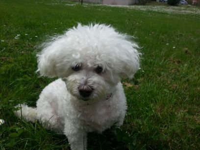 CristinaCianell's profile picture. 