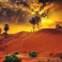 ‏تابعني اتابعك / .  ‏‏‏‏‏‏اللي اتابعه معه فرصه يومين اذا ما تابعن اعطي الفلو واحد يستاهل / وصل.  ،،حسابي بالانستقرام          al5omri@