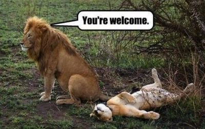 Moneytalks313's profile picture. 