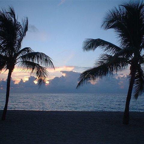 just another damn yankee... in paradise