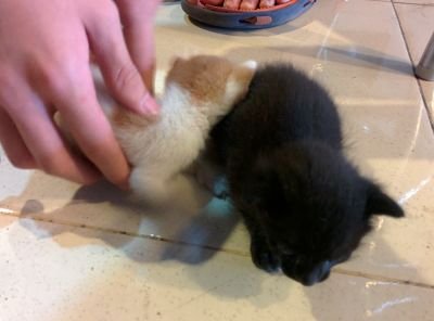 tonyprasetyo95's profile picture. 