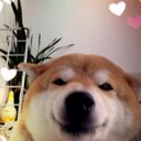 Aoi (@0226blue) Twitter