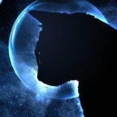 数年振りに舞い戻ったB'z沼は思いの外深かった…😇2018年1月初旬、RIJFの映像を観て一瞬で引き戻されました✨B'zデビュー前から松本孝弘さんが大好きでした💖B'z熱量多めに呟いていますが今まで通りゴスペラーズも大好き猫も大好きサカイスト💚GLAYファン🔰TAKURO推し💚広島市出身、埼玉県在住