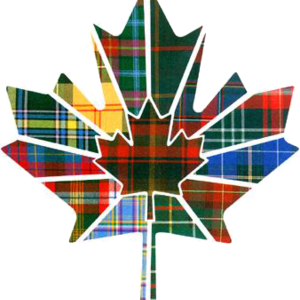 msljhoops's profile picture. Grade 7/8 Language Arts and grade 8 geography teacher in Toronto, Ontario. Looking forward to being a connected educator.