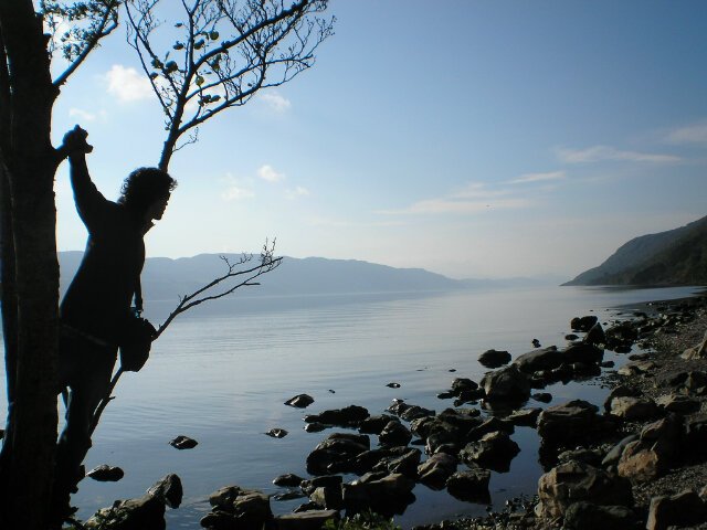 HecTor_Pny's profile picture. #mañanasaldraelsol