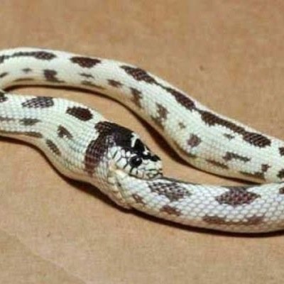 文字がやかましい ネイマール腰椎骨折らしいけど 後遺症とか選手生命に影響ないかな あったらサッカー界にとって 大きな損害だな 文字がやかましい ネイマール腰椎骨折らしいけど 後遺症とか選手生命に影響ないかな あったらサッカー界にとって 大きな損害だな