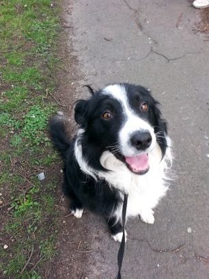 mwsa54's profile picture. 