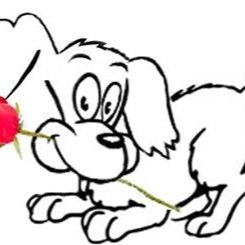 Dog Groomer in Macclesfield, Cheshire. All breeds welcome. Please contact for prices and bookings