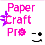 Be a Paper Craft Pro and follow our tutorials, tips and ideas for your next paper project