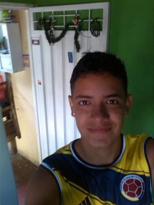 solo yerba