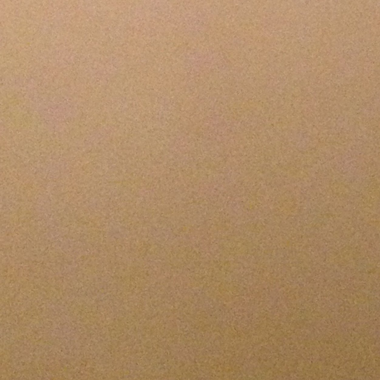 PrincessRaych's profile picture. Princess power