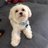 astrid_alves's profile image