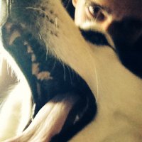Kolmena (@kolmenaa95) 's Twitter Profile