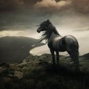 maureen banks - @banks_maureen - Twitter