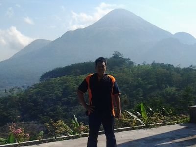 Packaging Design Trainer and IT Consultant