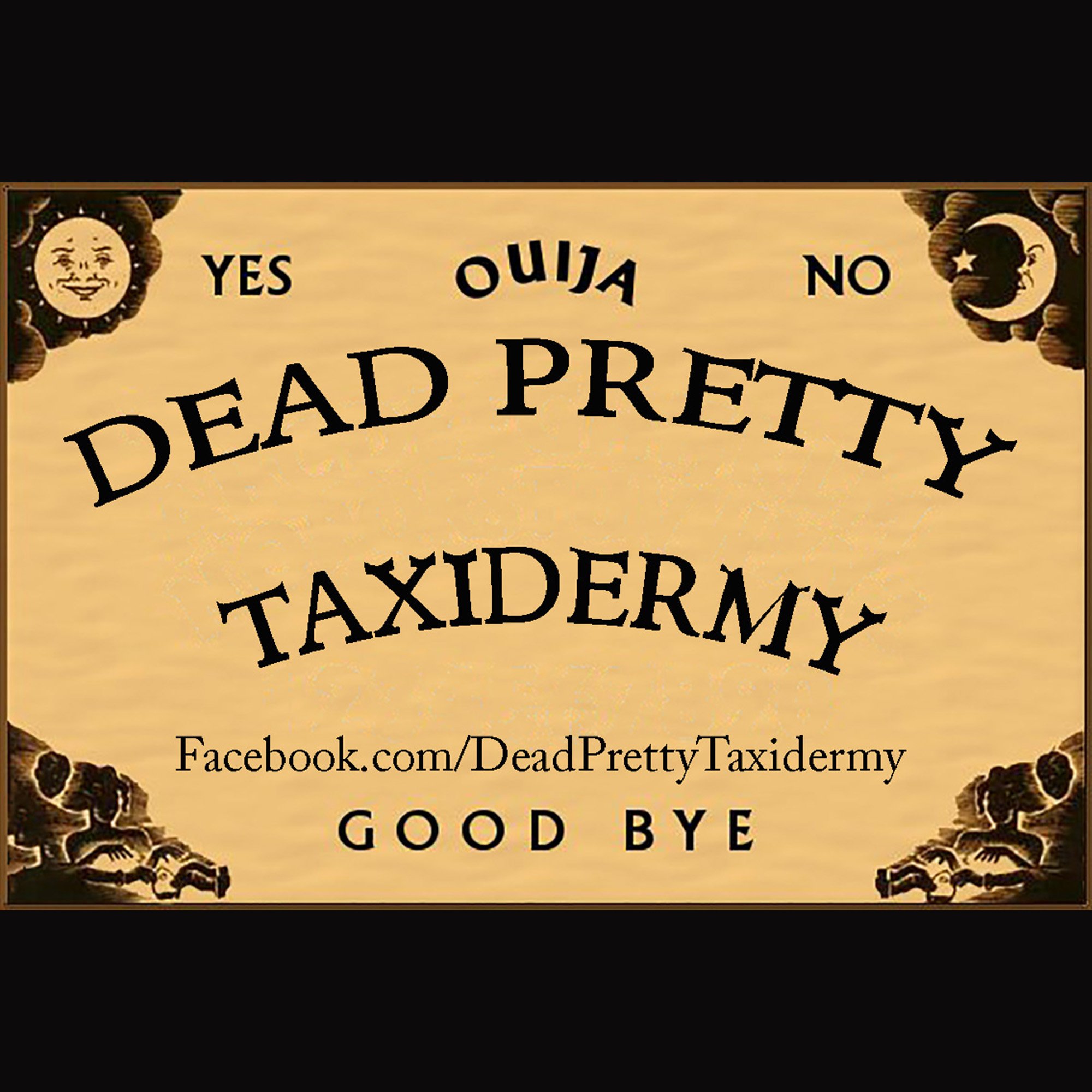 DeadPretty Taxidermy